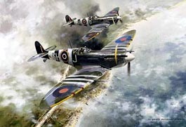 Spitfires Spitfires
