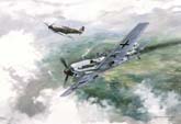 Aviation Print - Fallen Eagle